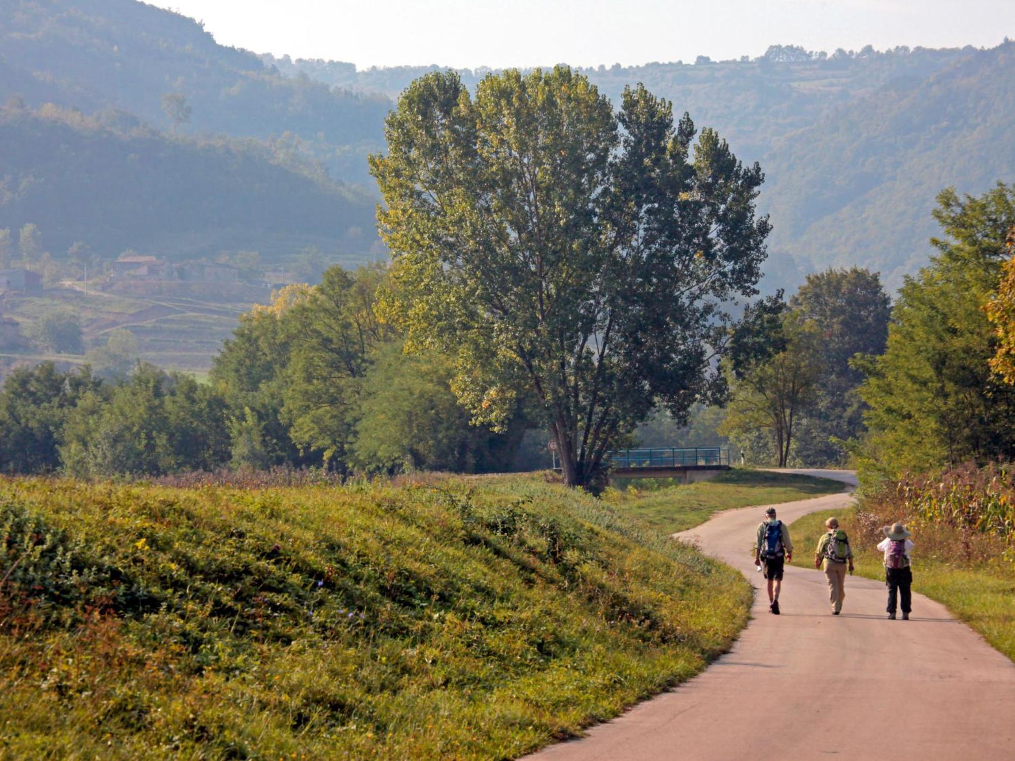 Holiday Home Poje - Mvn251 By Interhome Motovun Esterno foto